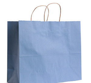 blue bag.jpg